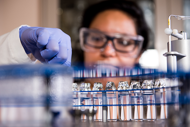 Scientist working in lab