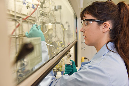 Photo of a scientist observing items in a fume hood.